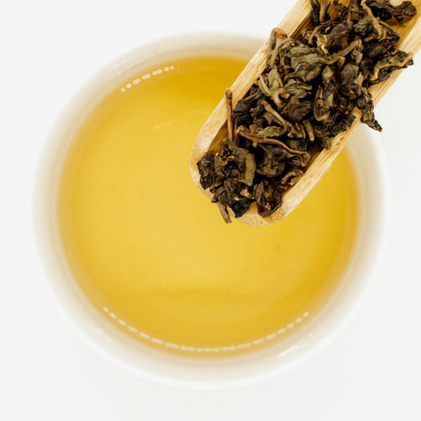 Narcissus Oolong