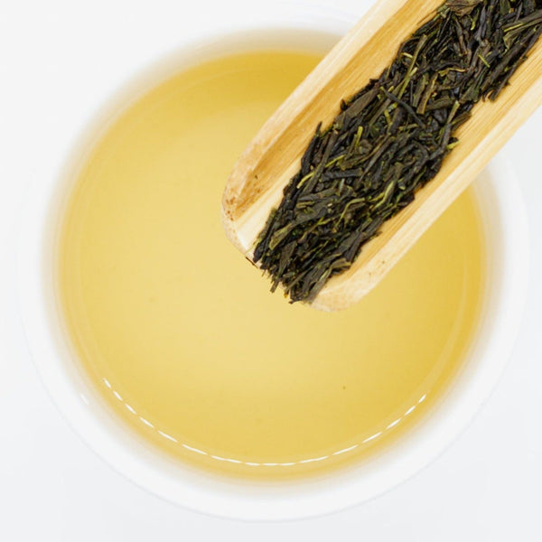 Sencha - Superior