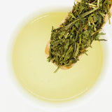 Sencha - Premium